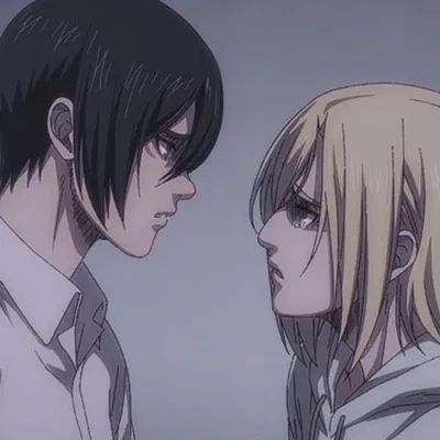 Annie + Mikasa — Fight Club! ༊*· ̊