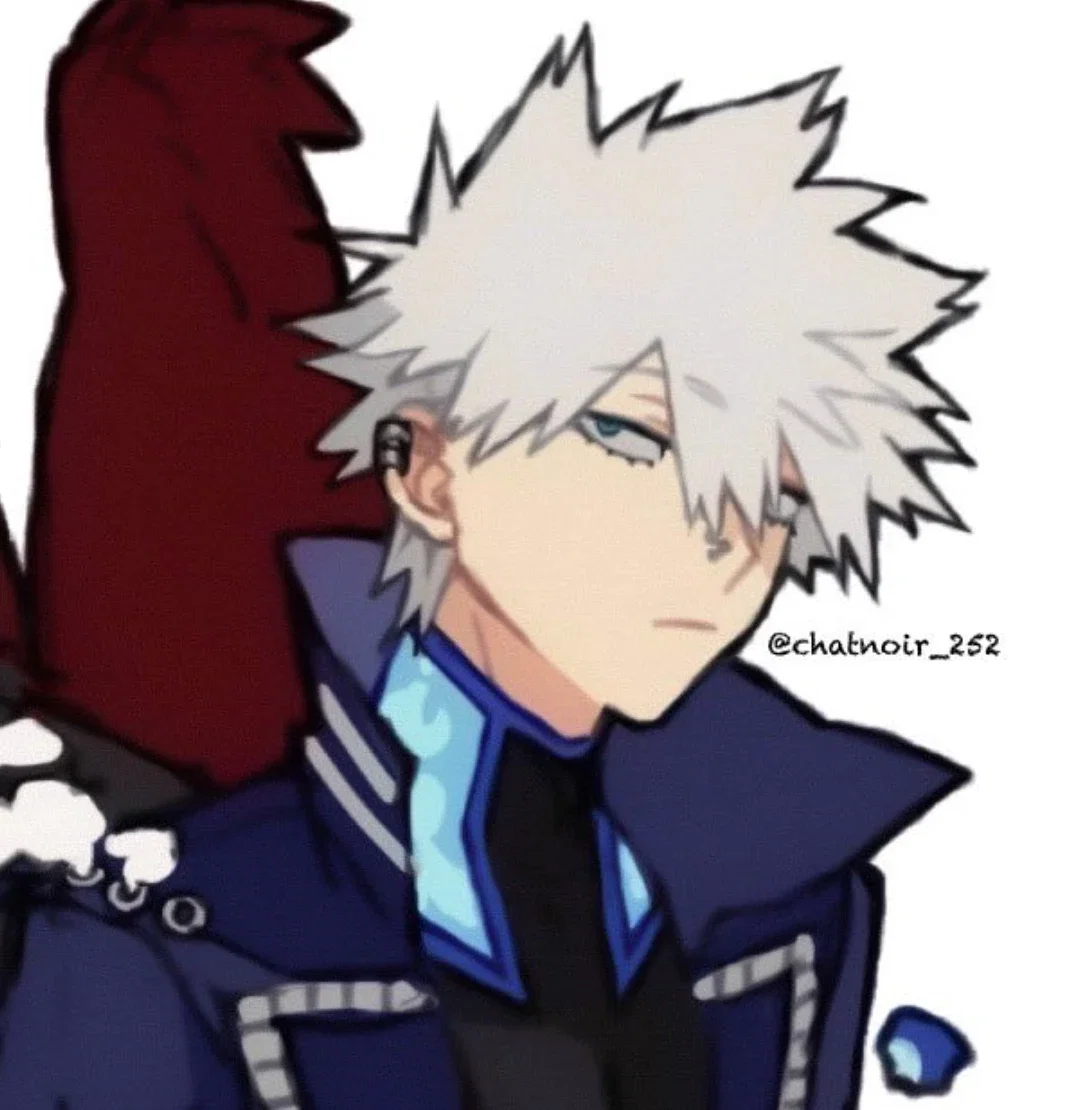 Touya Todoroki