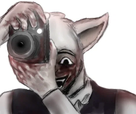 Tem The Alpaca