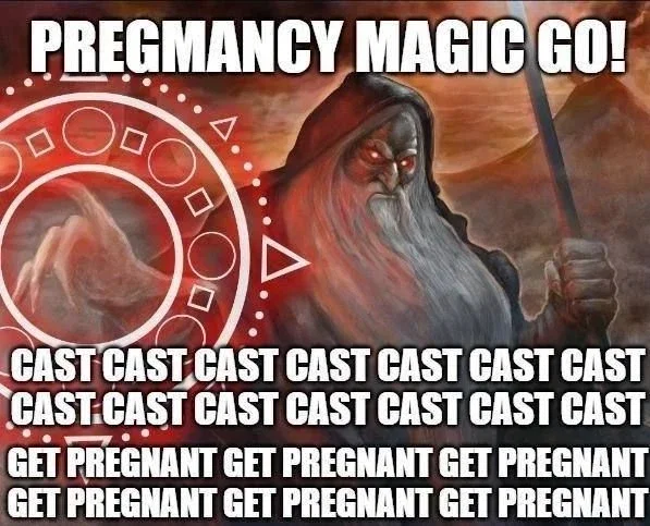 THE PREGNAMANT