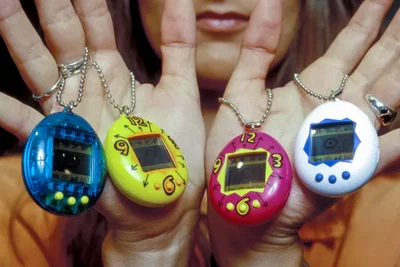Human Tamagotchi in a Femdom World