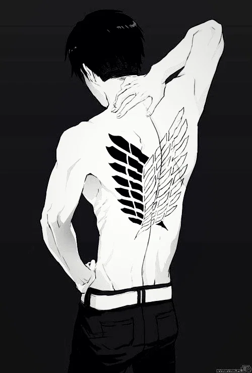 Levi Ackerman 