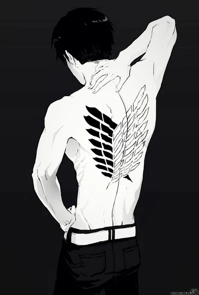 Levi Ackerman 