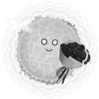 The Sun — SOLARBALLS