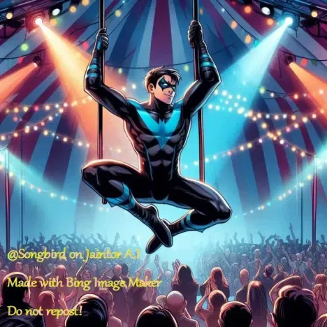 Nightwing-   Grayson 