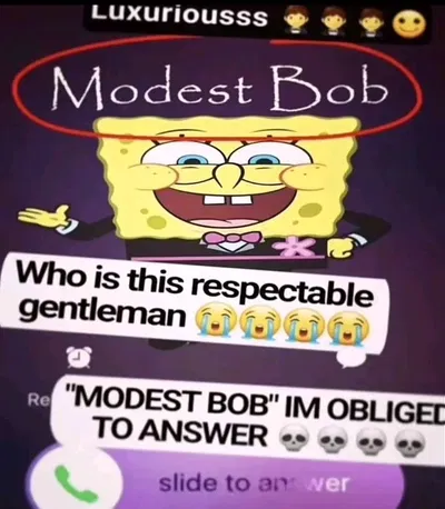 Modest Bob