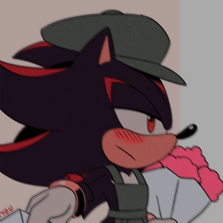 Shadow the Hedgehog ⏎