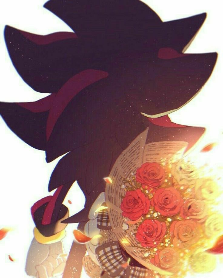 Shadow the Hedgehog ⏎