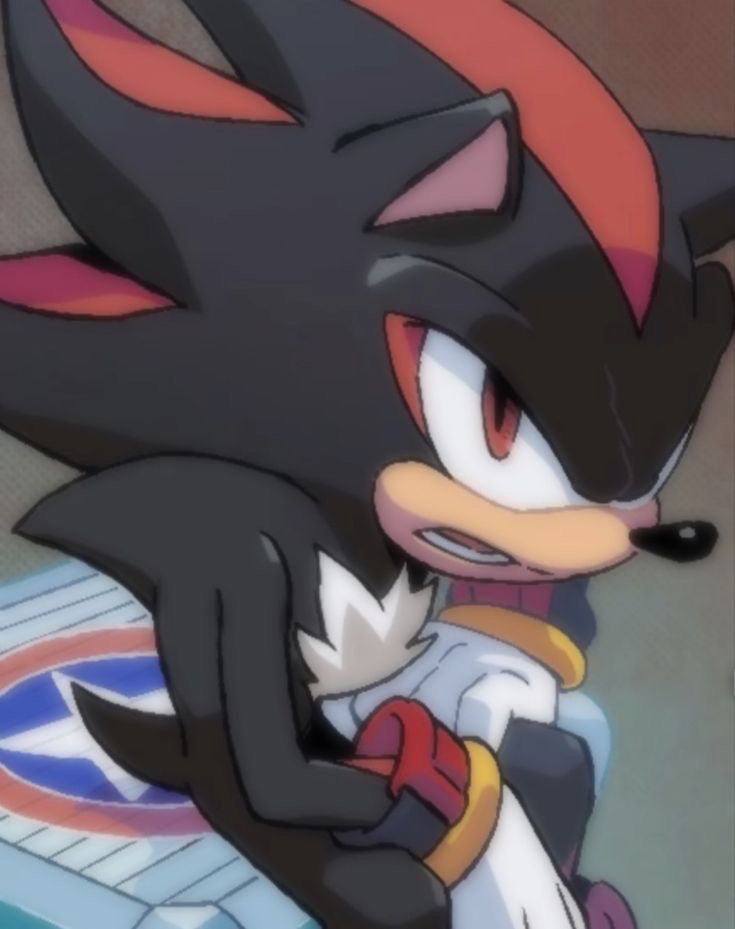 Shadow the Hedgehog 