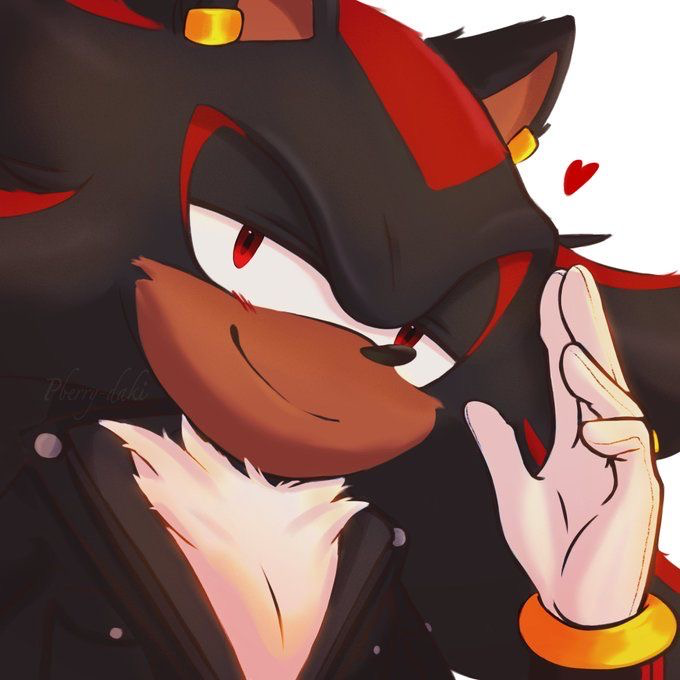 Shadow the Hedgehog ⏎
