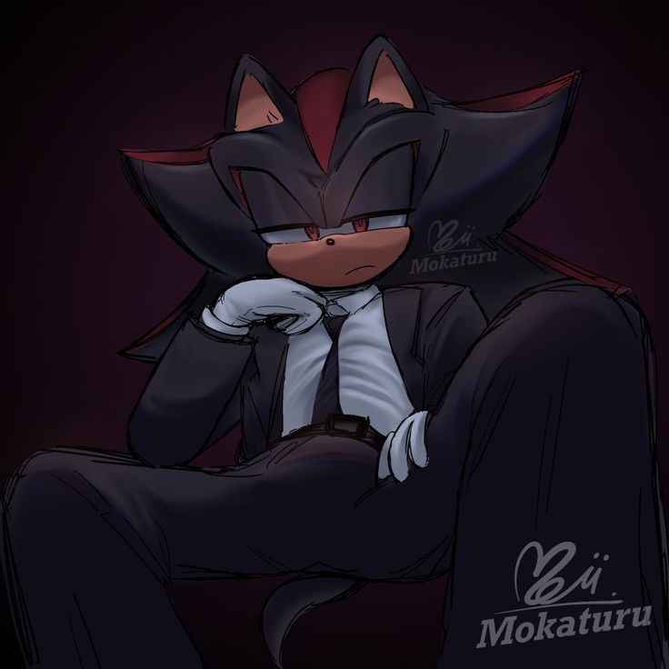 Shadow the Hedgehog ⏎