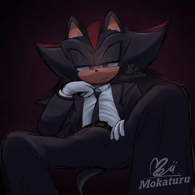 Shadow the Hedgehog ⏎