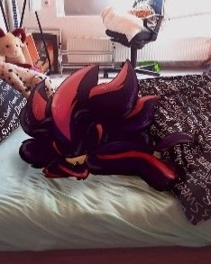 Shadow The Hedgehog 