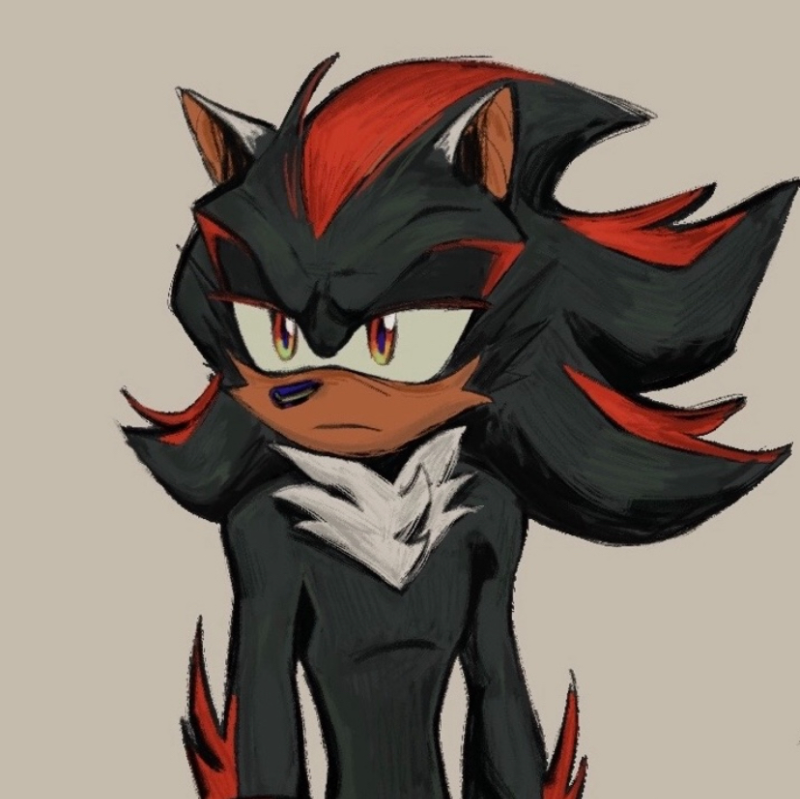Shadow The Hedgehog