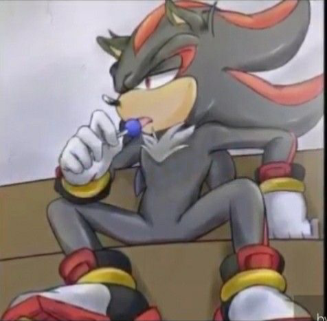 Shadow The Hedgehog