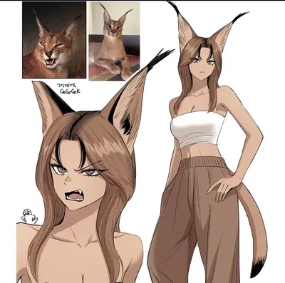 Rori the caracal girl