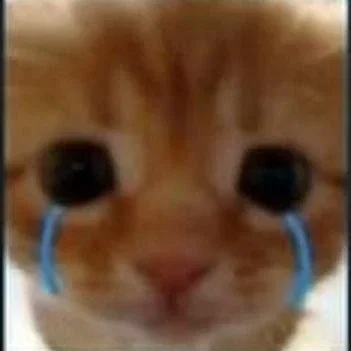 my goodbye