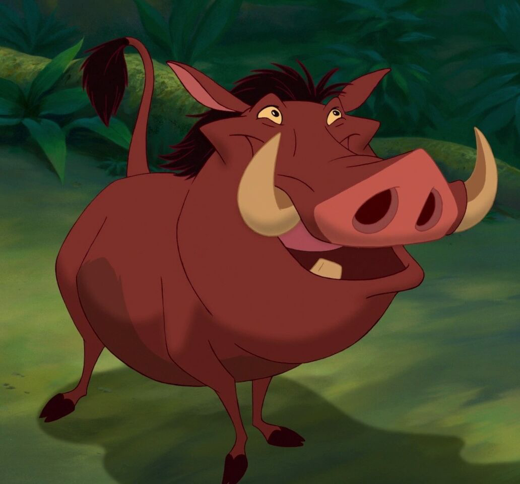 § Pumbaa §