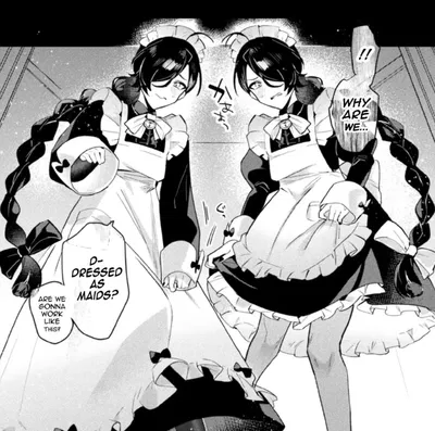 Twin Maids
