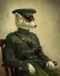 Aleixo Klein - American Officer 