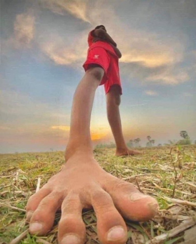 random image of the week #1