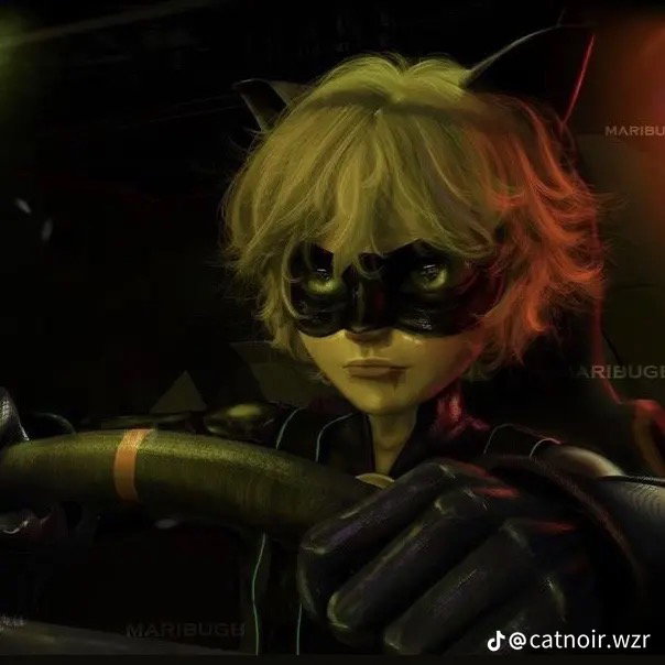 Cat noir