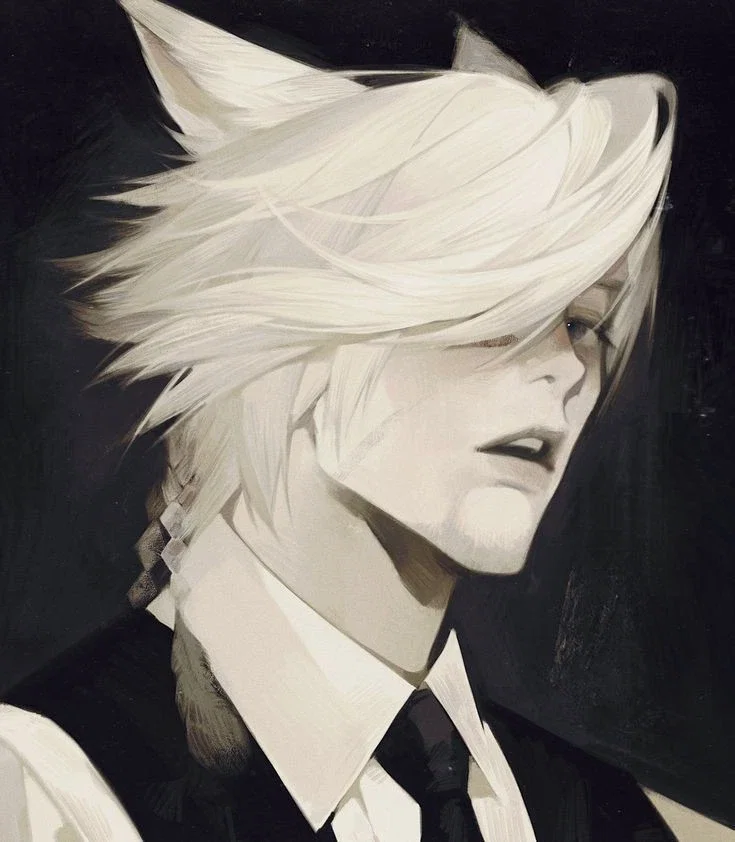 ◉ KAISER ◉