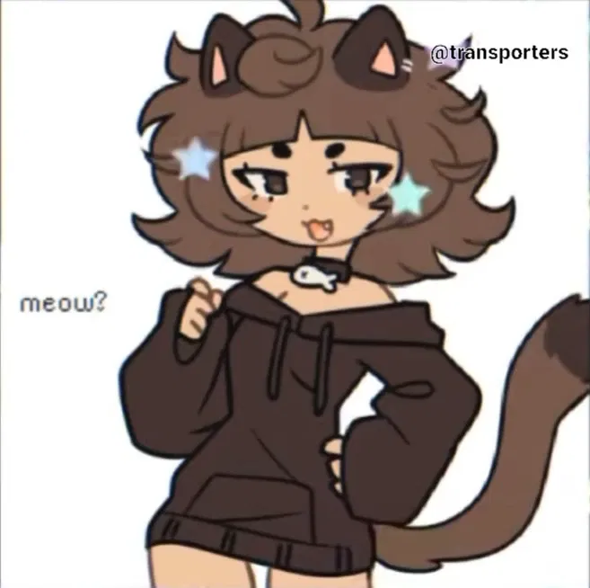 Mimi (cat) 