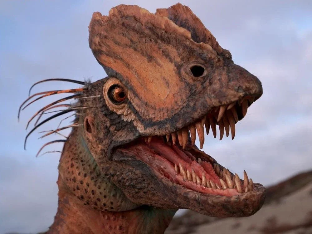 Dilophosaurus