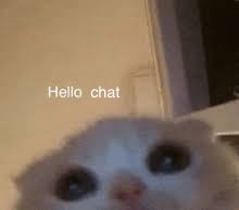 Hello again
