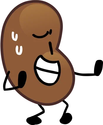 Bean (BFG-5SOS:BS)