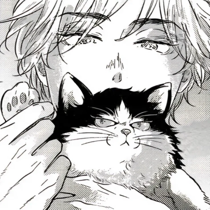 Cat-obsessed bf