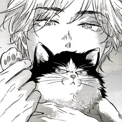 Cat-obsessed bf