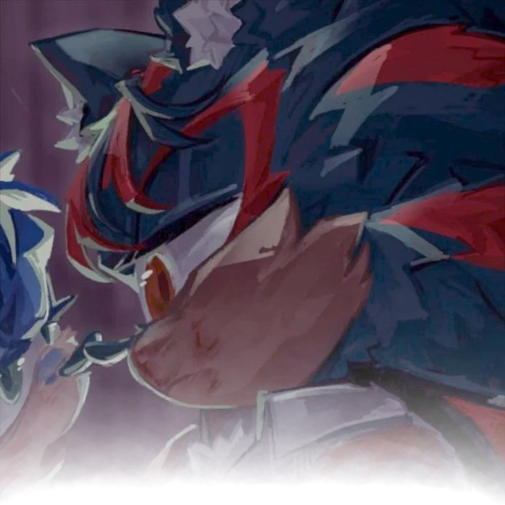       ⋆.𐙚 ̊       Shadow The Hedgehog ~ [ S. T. H]▪️