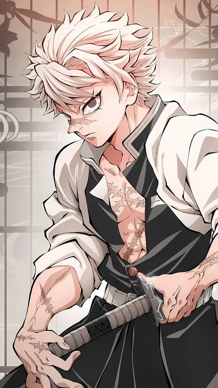Sanemi Shinazugawa ​᭄Favorite tsuguko