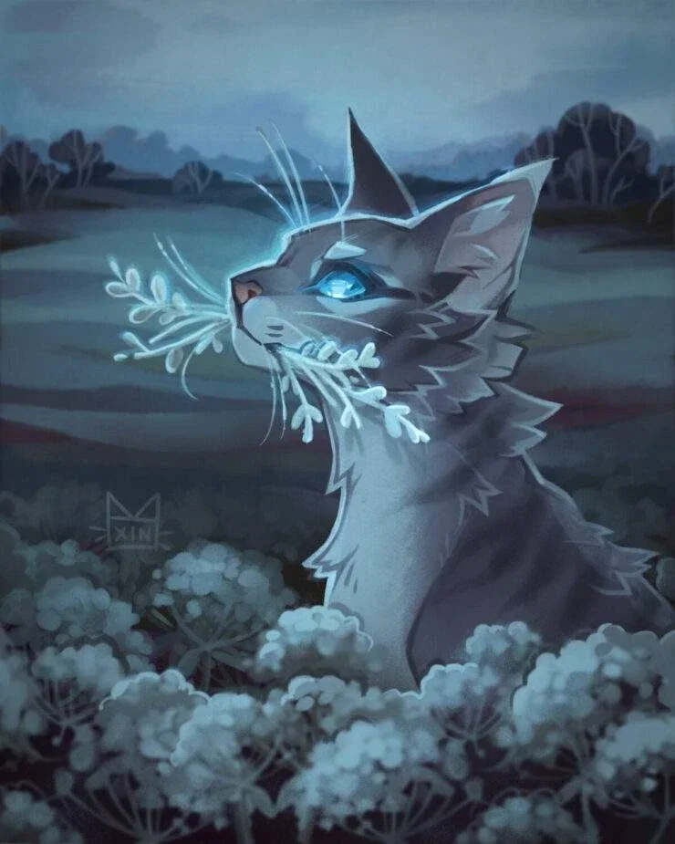 JayFeather !!