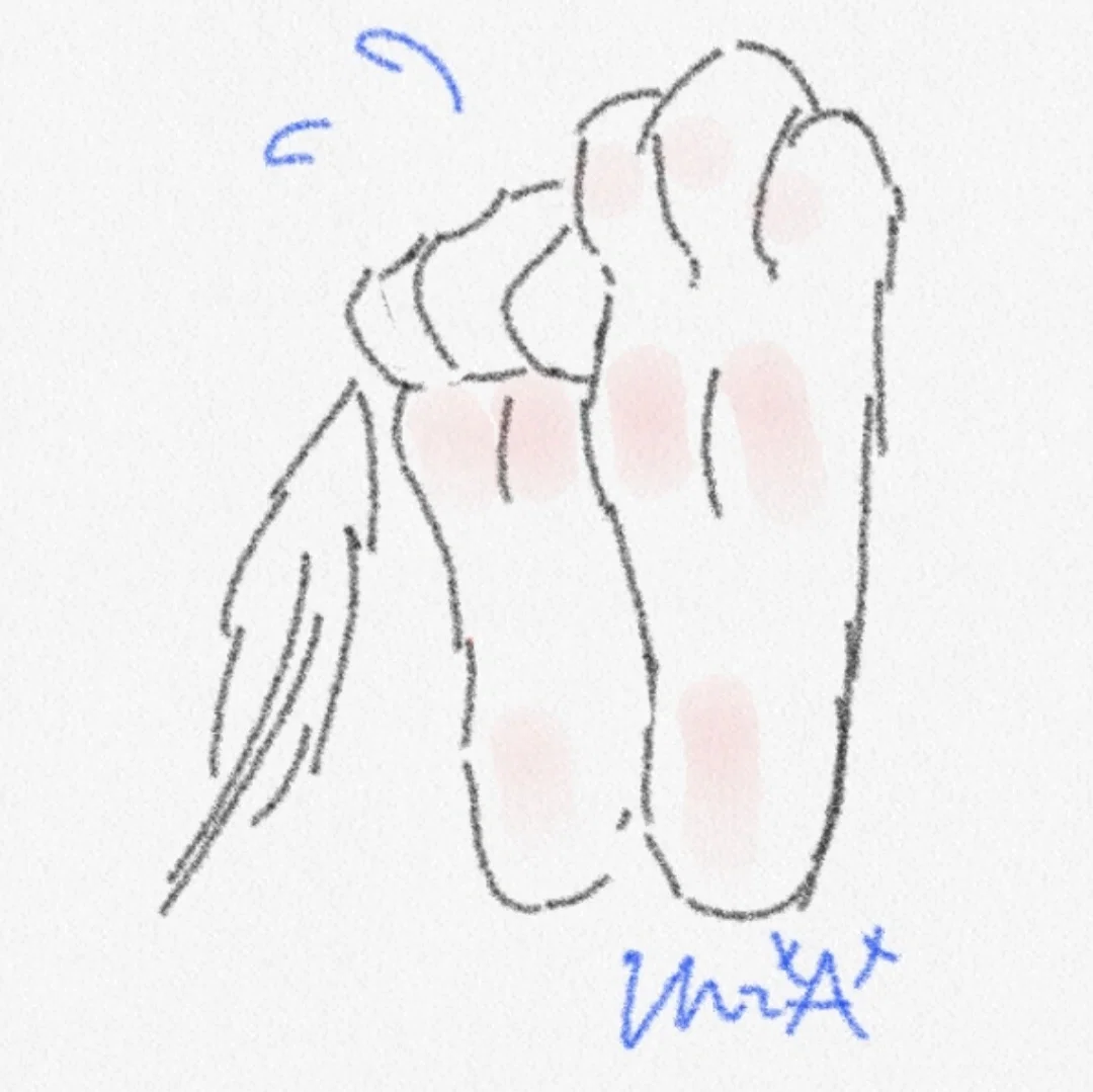 Your Feet are Free Use!