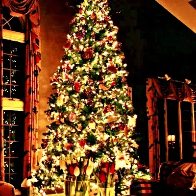 happy christmas 