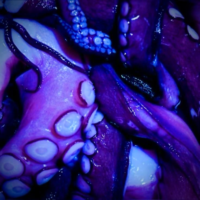 Tentical cluster 