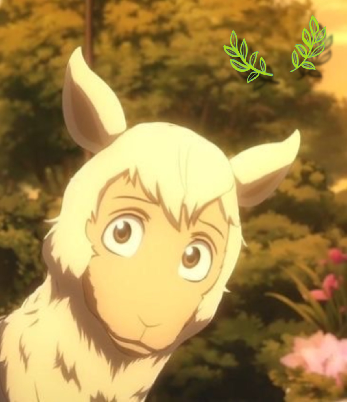 Tem The alpaca | AU 