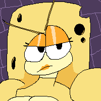 🧀 S W I S S 🧀