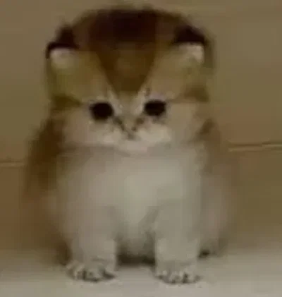 Niko