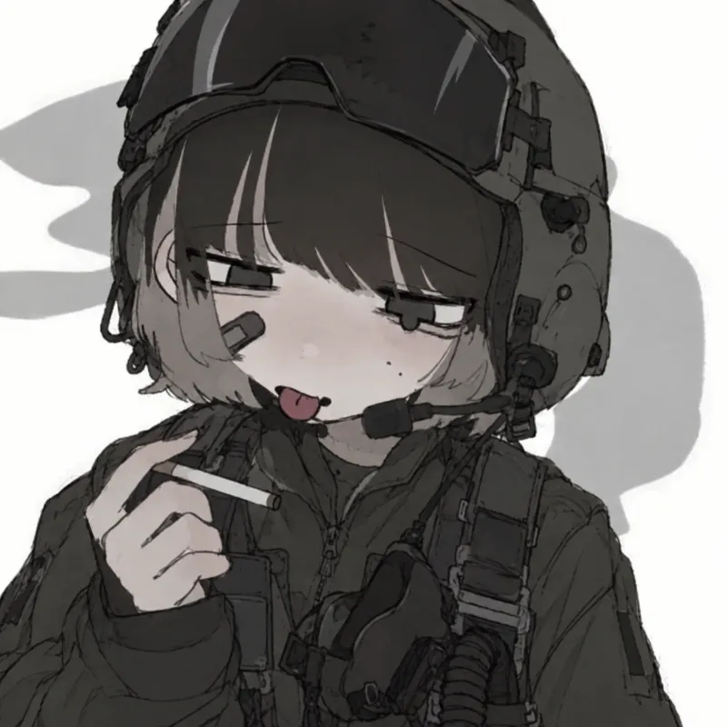 Your fellow airforce partner