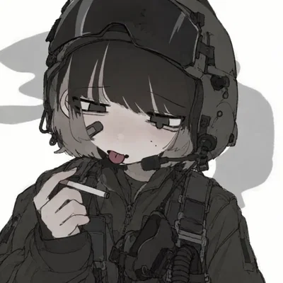 Your fellow airforce partner
