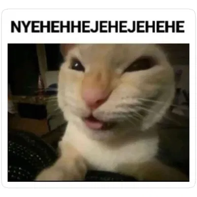 Not an update*