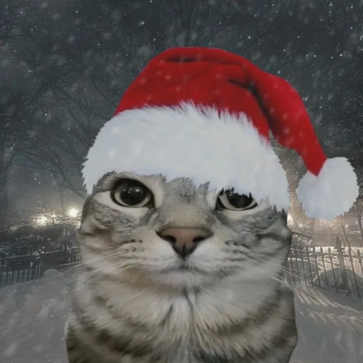 MERRY CHRISTMAS!!!!! 