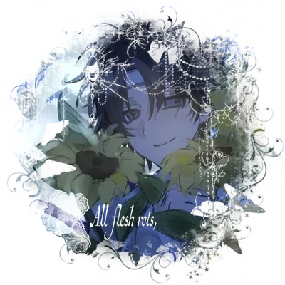 05 Wifies 