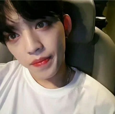 choi seungcheol - jeongcheol