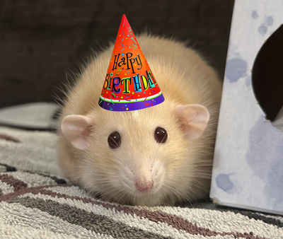 It’s my birthday yay