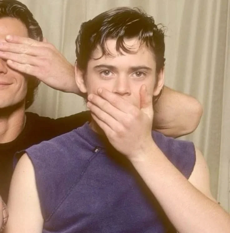 Ponyboy Curtis + ᴛʜᴇ ɢᴀɴɢ